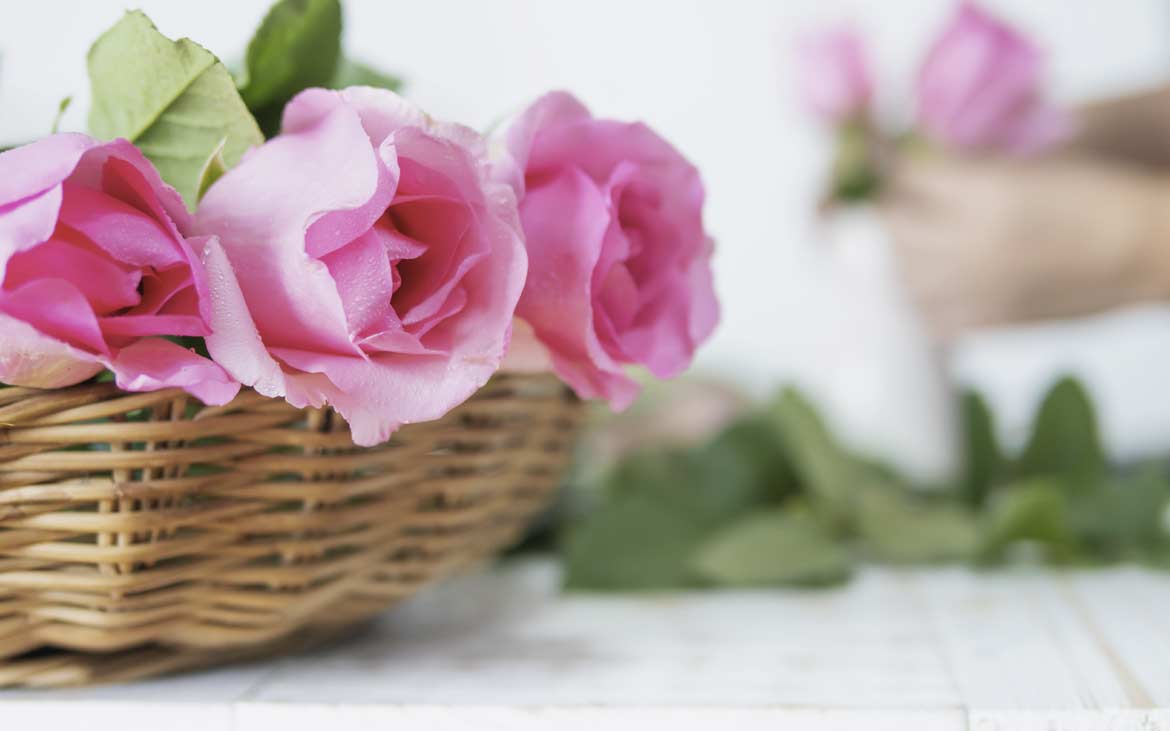 Come Curare le Rose: Guida e Consigli Pratici Come Curare le Rose - Corriere DelleDame